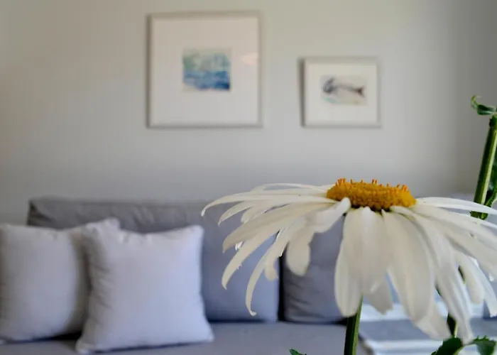 Casa Malu Boutique - No 1 Apartamento *