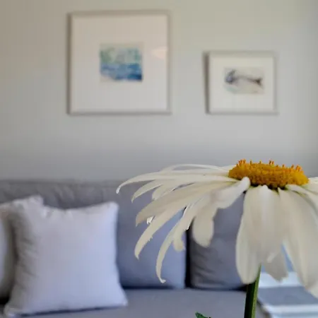 Casa Malu Boutique - No 1 Daire *